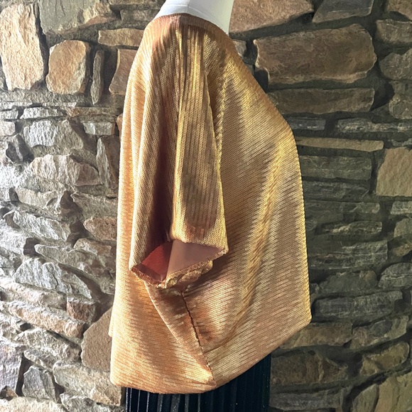 Cesar Galindo Matte Gold Sequined Top - Picture 5 of 6